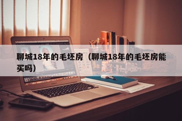 聊城18年的毛坯房（聊城18年的毛坯房能买吗）