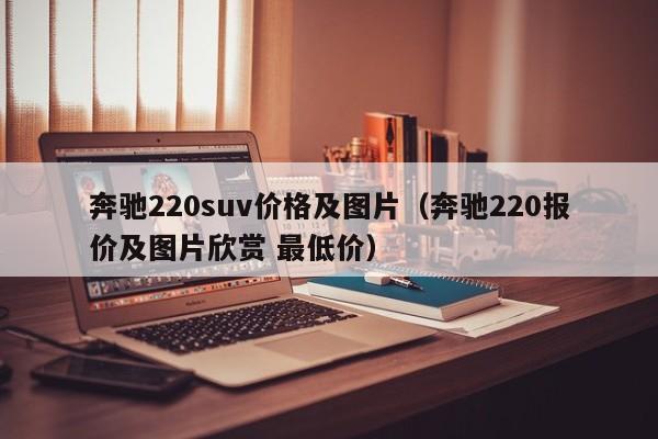 奔驰220suv价格及图片（奔驰220报价及图片欣赏 最低价）