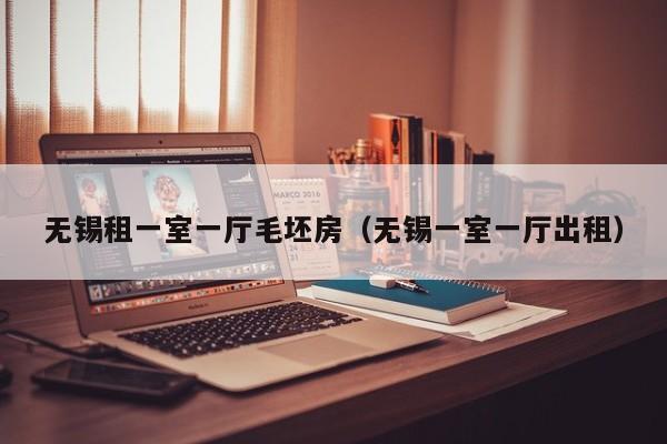无锡租一室一厅毛坯房（无锡一室一厅出租）