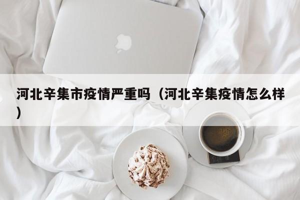 河北辛集市疫情严重吗（河北辛集疫情怎么样）