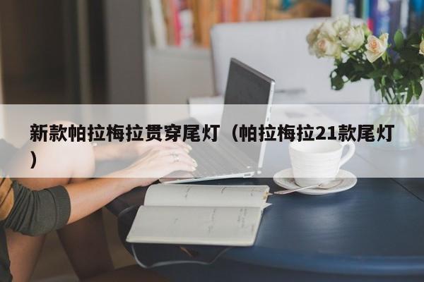 新款帕拉梅拉贯穿尾灯（帕拉梅拉21款尾灯）