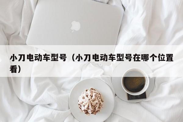 小刀电动车型号（小刀电动车型号在哪个位置看）