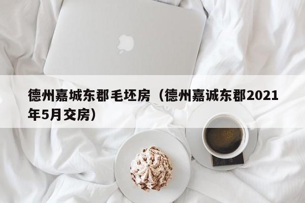 德州嘉城东郡毛坯房（德州嘉诚东郡2021年5月交房）