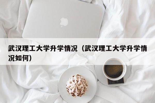 武汉理工大学升学情况（武汉理工大学升学情况如何）
