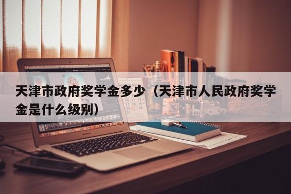 天津市政府奖学金多少（天津市人民政府奖学金是什么级别）