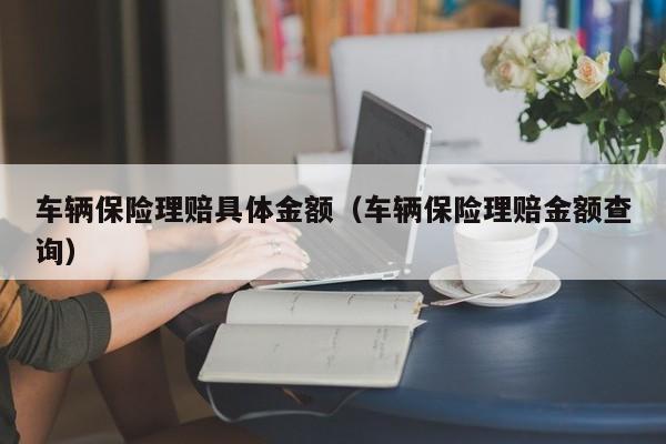 车辆保险理赔具体金额（车辆保险理赔金额查询）