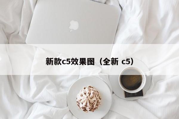 新款c5效果图（全新 c5）