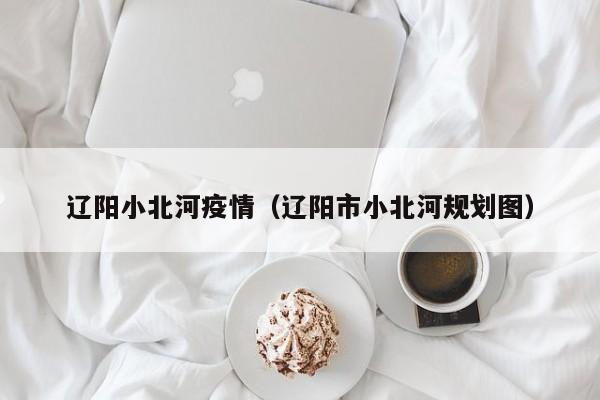 辽阳小北河疫情（辽阳市小北河规划图）