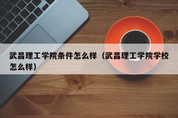 武昌理工学院条件怎么样（武昌理工学院学校怎么样）