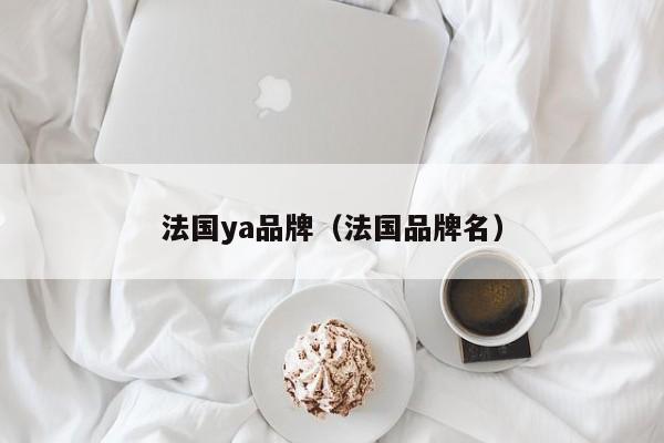 法国ya品牌（法国品牌名）