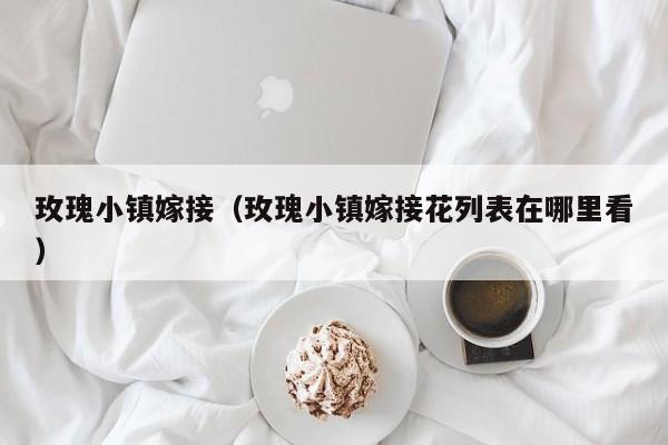 玫瑰小镇嫁接（玫瑰小镇嫁接花列表在哪里看）