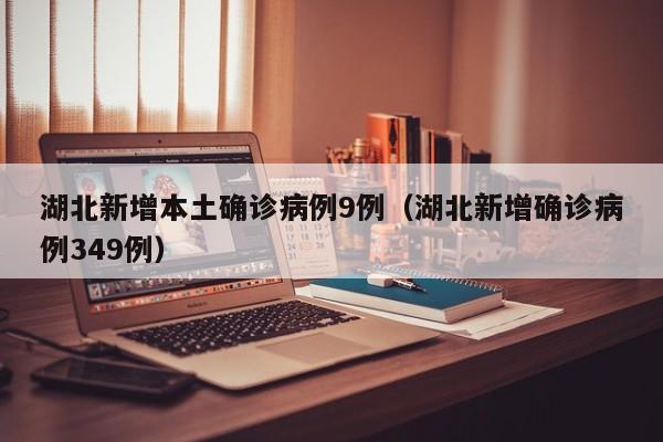 湖北新增本土确诊病例9例（湖北新增确诊病例349例）