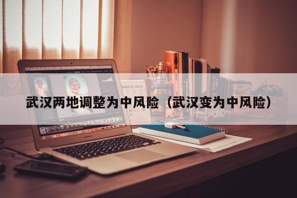 武汉两地调整为中风险（武汉变为中风险）