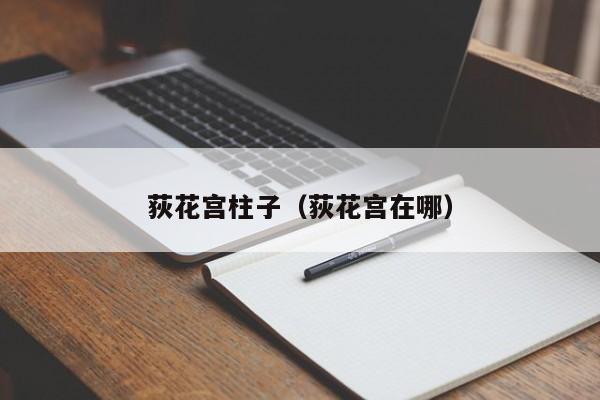 荻花宫柱子（荻花宫在哪）