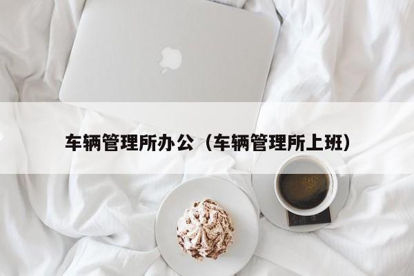 车辆管理所办公（车辆管理所上班）