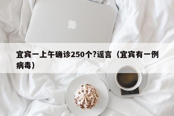 宜宾一上午确诊250个?谣言（宜宾有一例病毒）