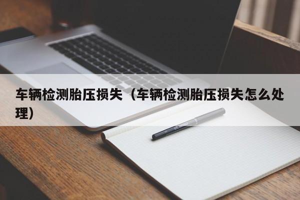 车辆检测胎压损失（车辆检测胎压损失怎么处理）