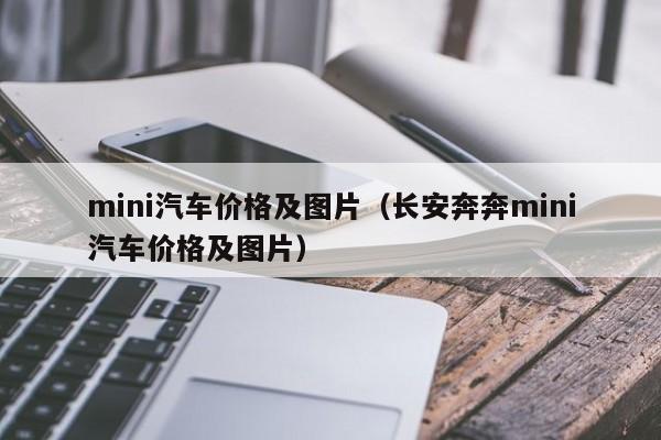 mini汽车价格及图片（长安奔奔mini汽车价格及图片）