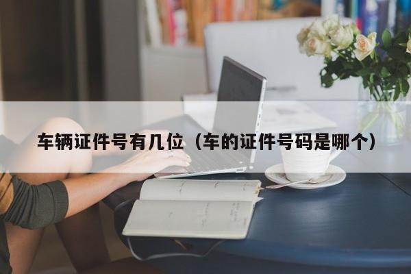 车辆证件号有几位（车的证件号码是哪个）