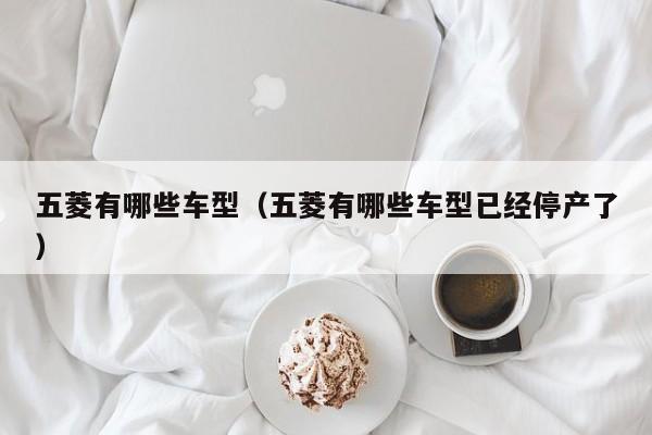 五菱有哪些车型（五菱有哪些车型已经停产了）