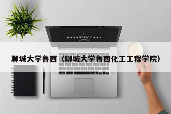 聊城大学鲁西（聊城大学鲁西化工工程学院）